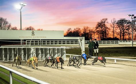 Greyhound Racing Fields .